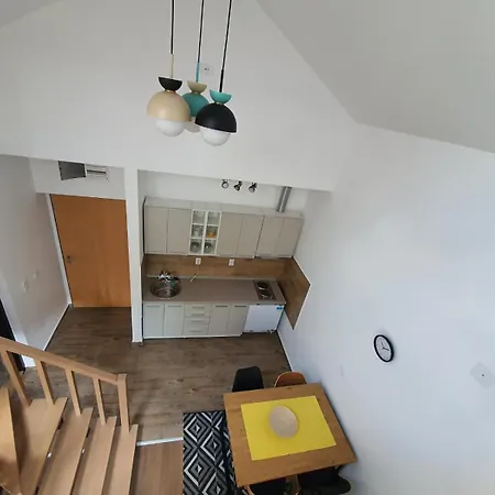 Buena Vista Apartment Soko Banja