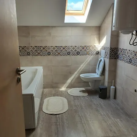 Apartment Buena Vista Soko Banja