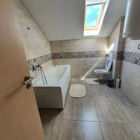 Apartment Buena Vista Soko Banja